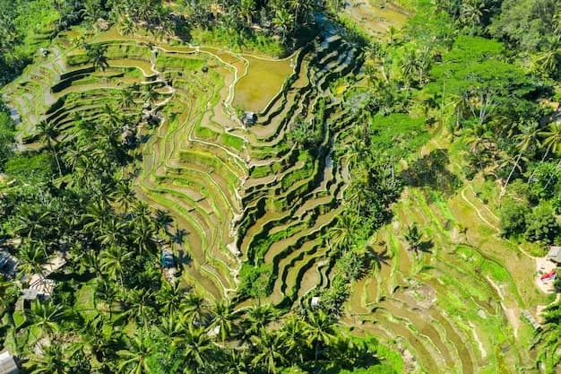 Sfeerbeeld bij beëdigde bahasa indonesia vertalingen
