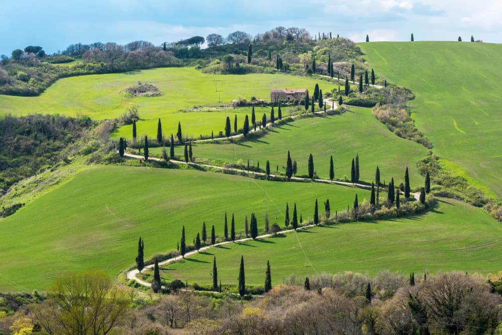 Sfeerbeeld bij beëdigde italiaans vertaling van verklaring van erfrecht