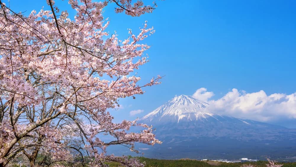 Sfeerbeeld bij beëdigde japans vertalingen