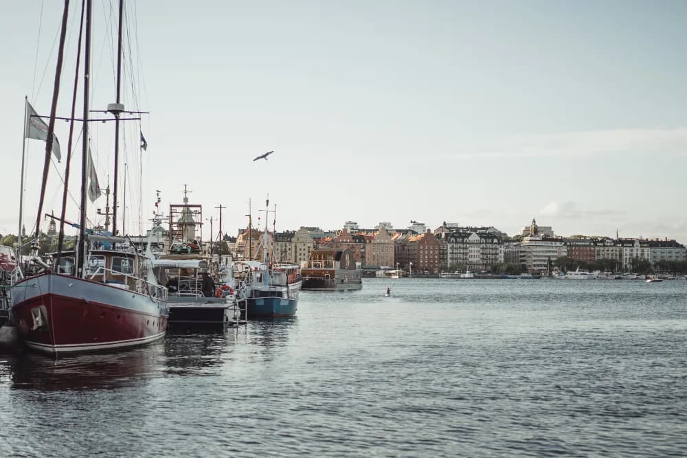 Sfeerbeeld bij beëdigde zweeds vertalingen